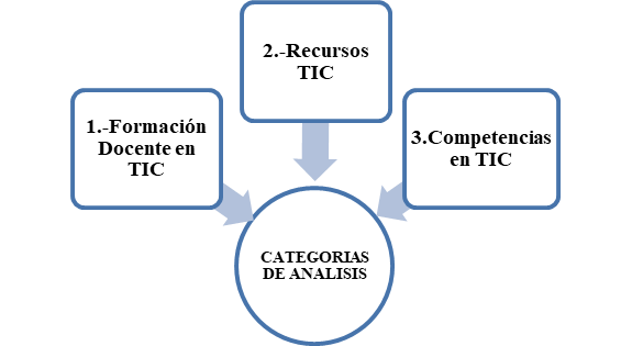 Figura 1. Categorías de análisis