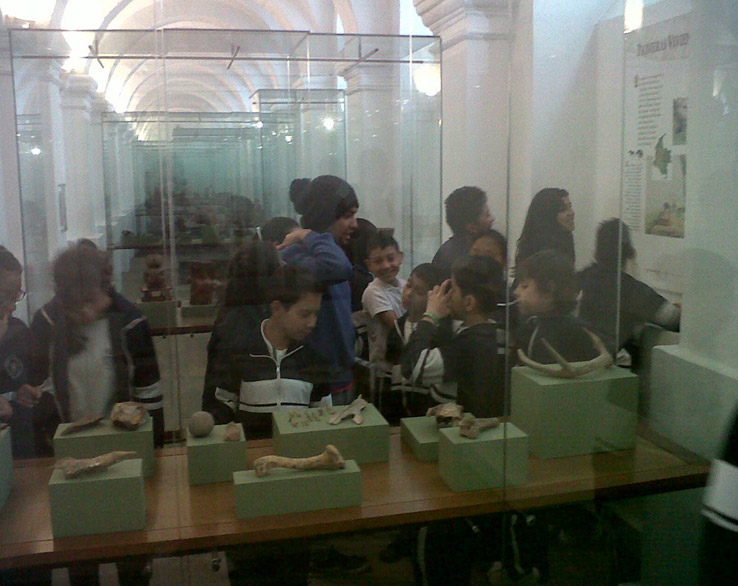 Figura 4. Proyecto Aprendizajes Productivos a Través de la Comprensión Etnocultural, visita pedagógica Museo Nacional