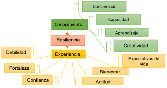 Reducción de conceptos a categorías: Entramado semántica Resiliencia: Conocimiento Experiencial