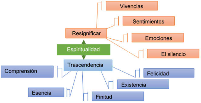 Reducción de conceptos a categorías: Entramado semántica Espiritualidad: Resignificar, trascendencia