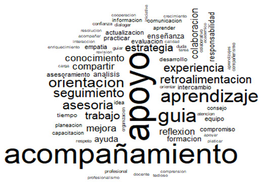 Figura 1. Noción de los docentes noveles sobre la tutoría